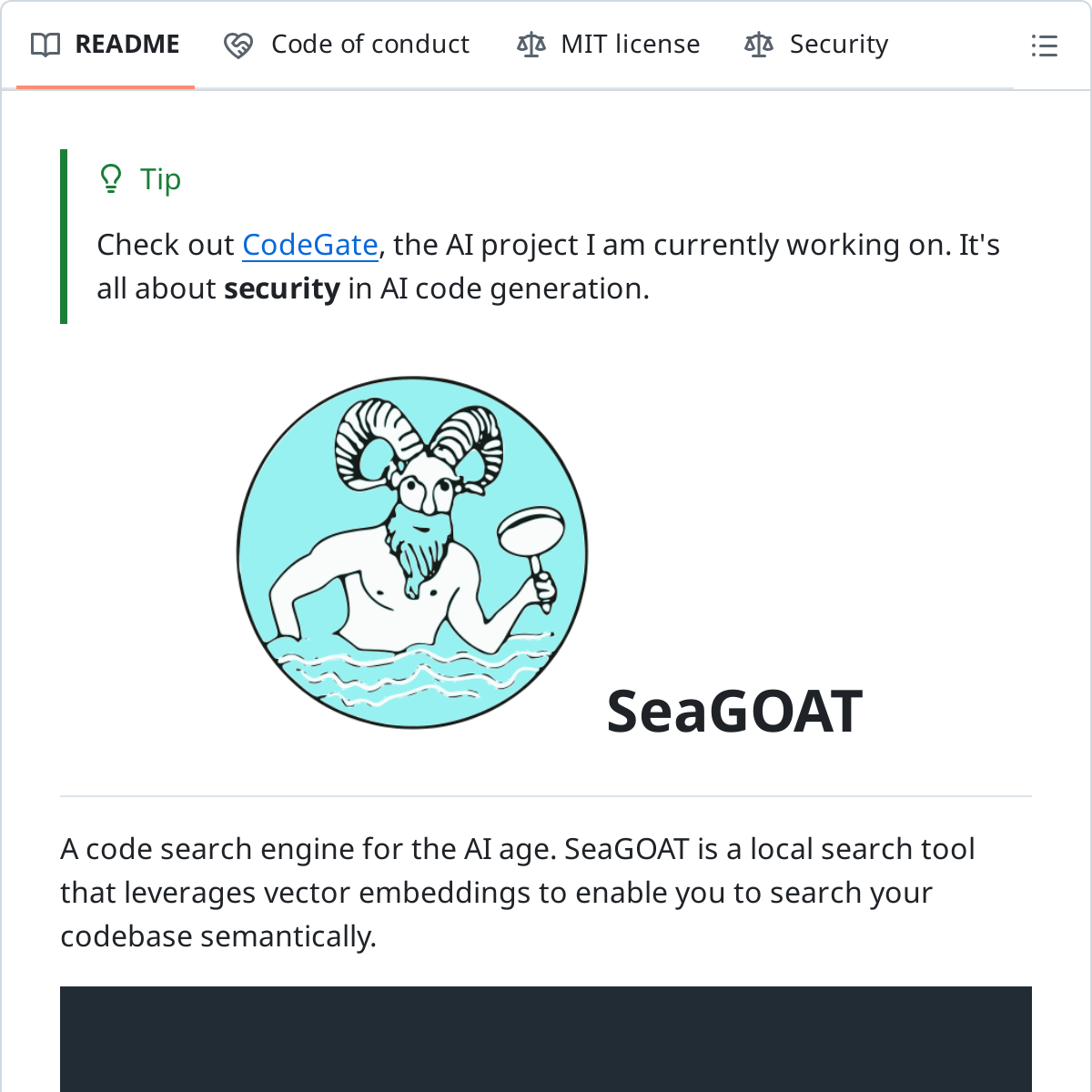 SeaGOAT | 本地代码搜索工具