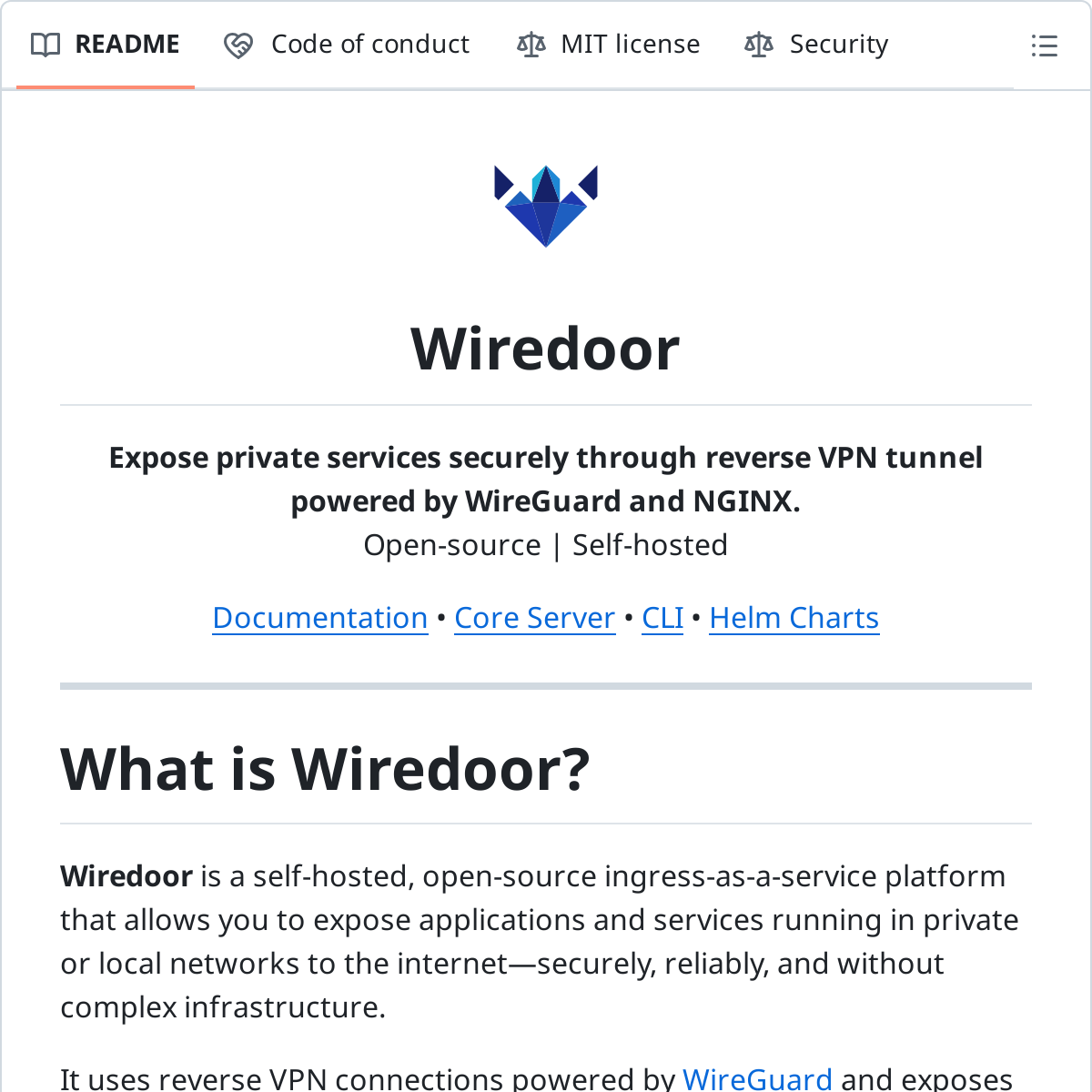 Wiredoor | 自托管的内网穿透服务